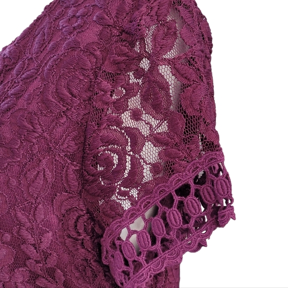 Brand New Laundry By Shelli Segal - Burgundy Lace Dress Sz 10 - Picture 4 of 15